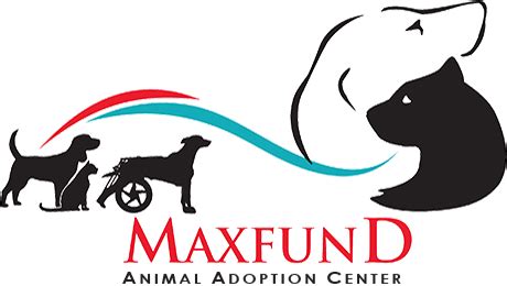 Maxfund denver - Denver CO | IRS ruling year: 1990 | EIN: 84-1116882 Organization Mission. The MaxFund Animal Adoption Center was established in 1988 to provide medical …
